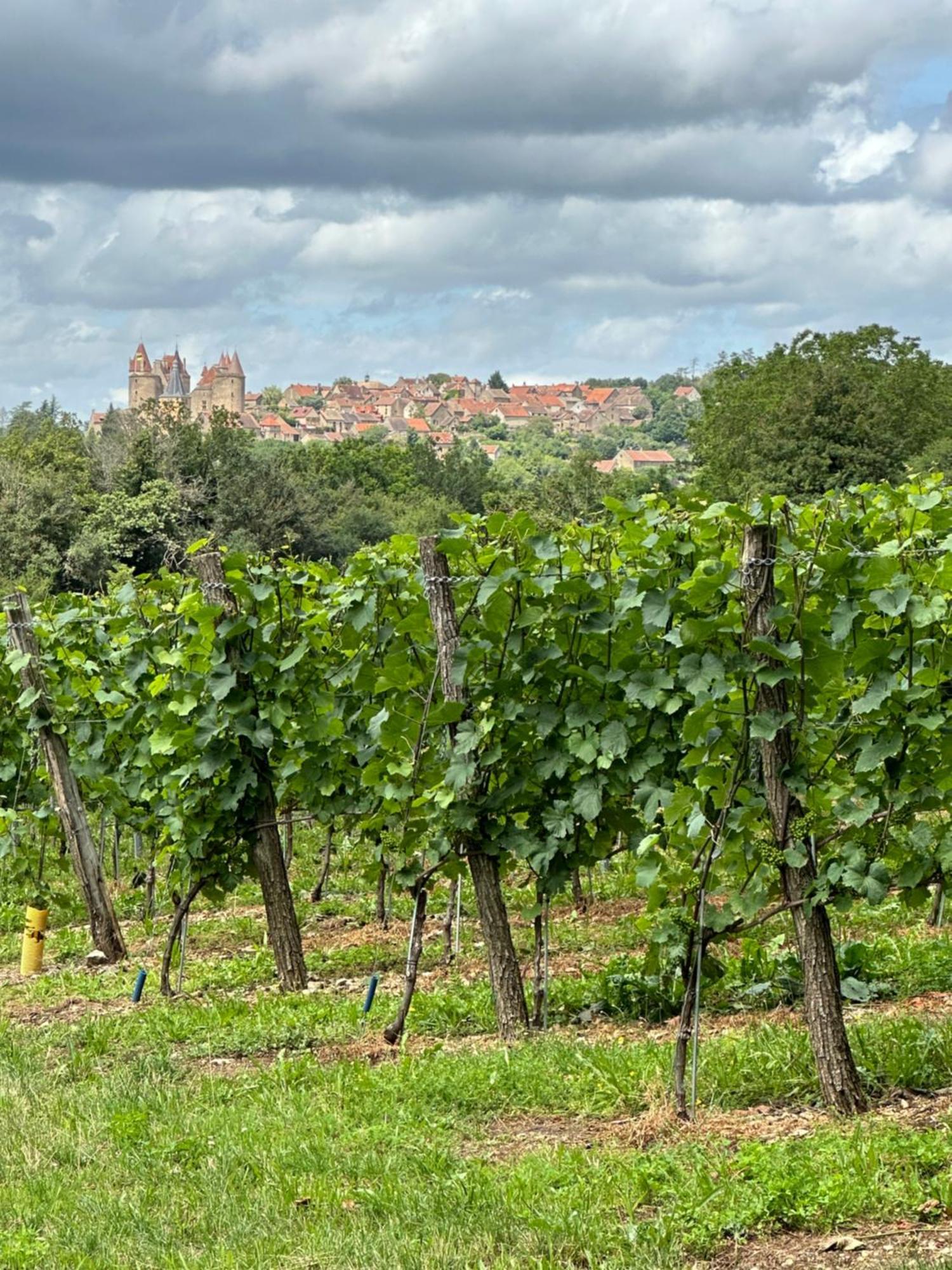 Chateauneuf Suites Dış mekan fotoğraf