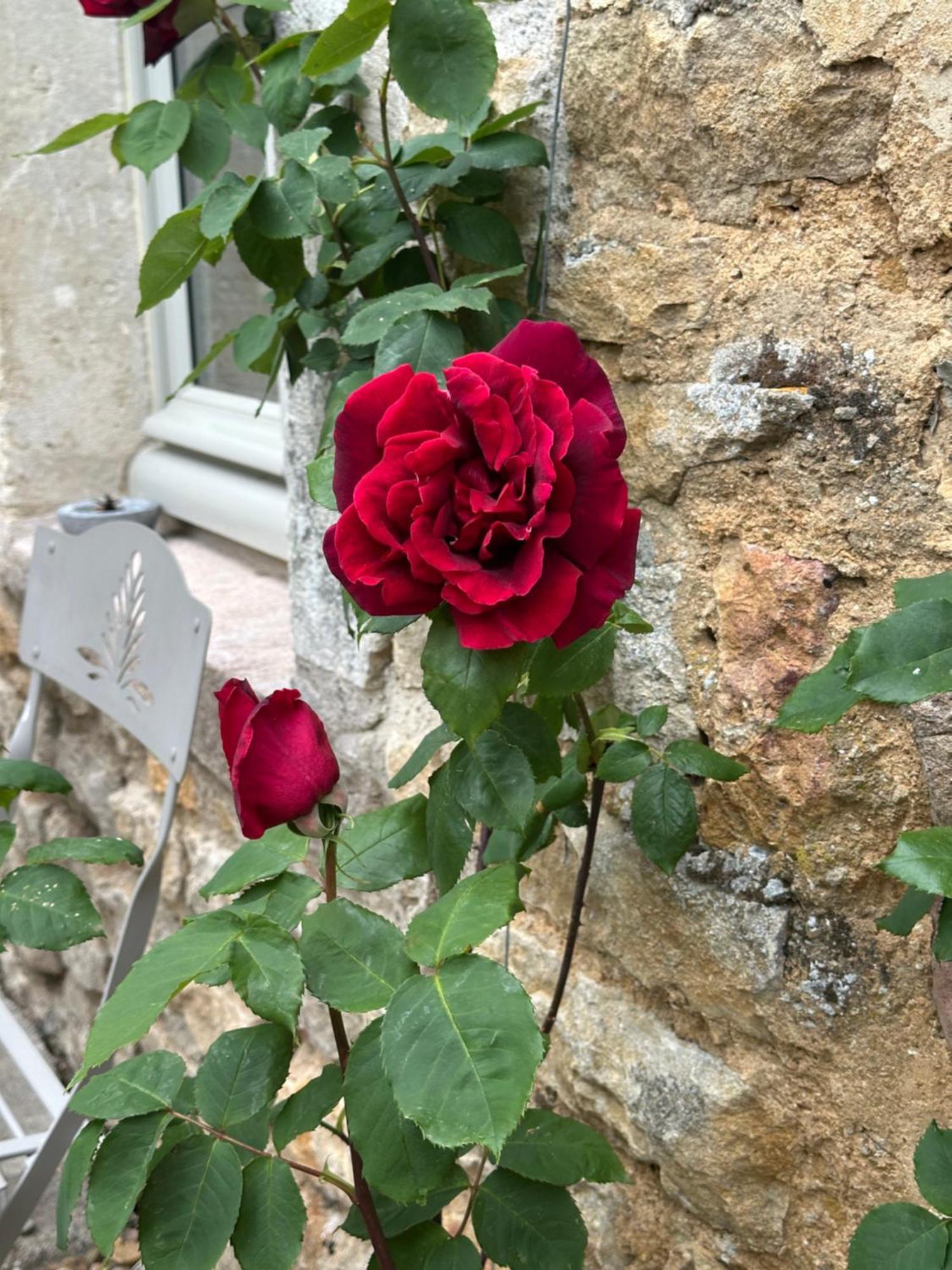 Chateauneuf Suites Dış mekan fotoğraf